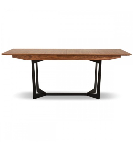 tokyo-dining-table-walnut-200250x100.jpg