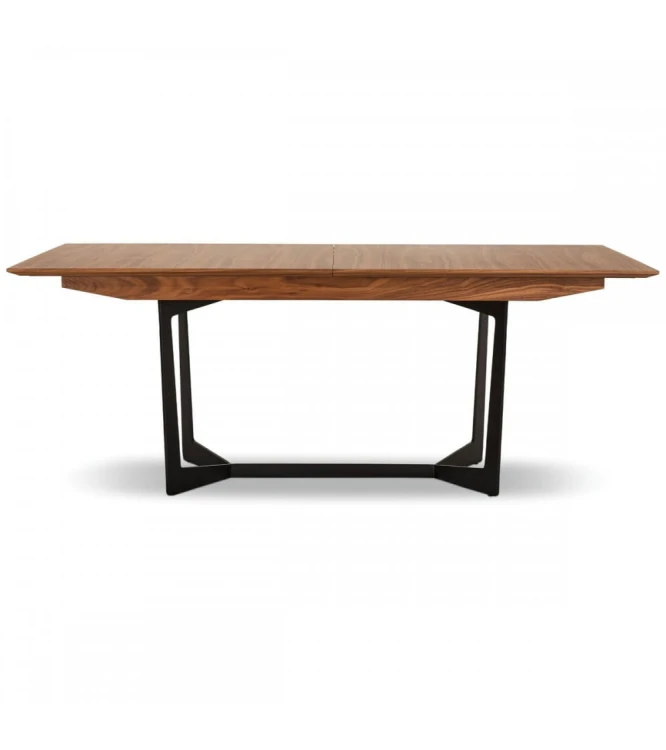 tokyo-dining-table-walnut-200250x100.jpg