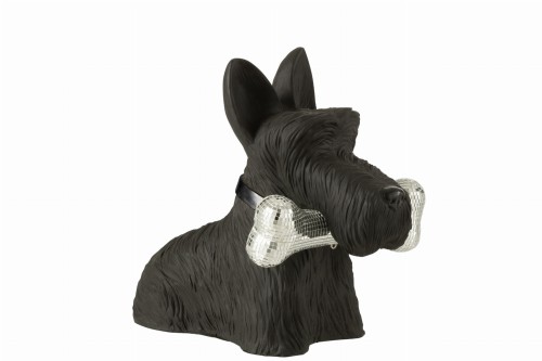 szkocki terrier z kością black silver