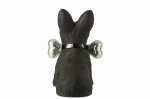 szkocki terrier z kością black silver