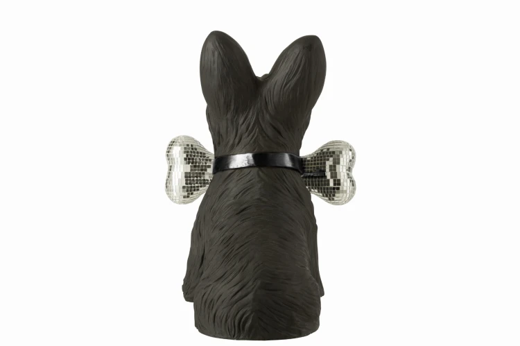 szkocki terrier z kością black silver