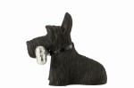 szkocki terrier z kością black silver