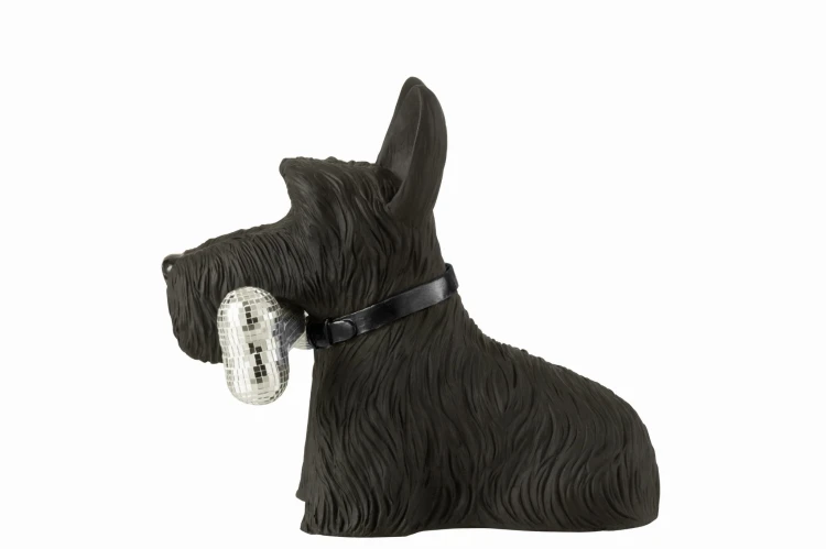 szkocki terrier z kością black silver