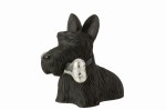 szkocki terrier z kością black silver