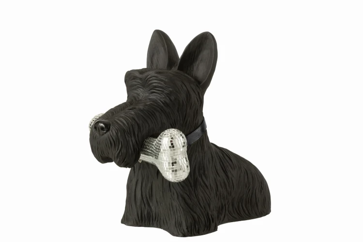 szkocki terrier z kością black silver