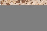 stolik kawowy mathilde  marble brown beige j-line